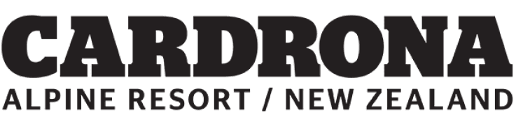 partner logo 7